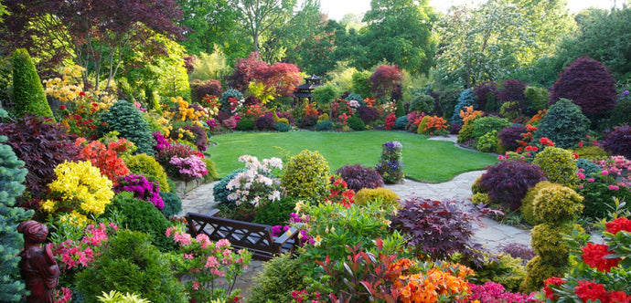 10 Essential Summer Garden Tips for a Thriving Oasis