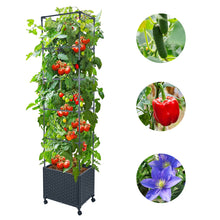 Load image into Gallery viewer, GREEN MOUNT 67.6" Raised Garden Bed Planter Box with Trellis for Climbing Vegetable w/Wheels