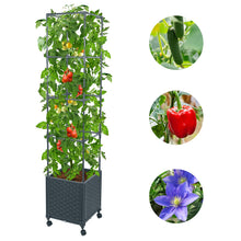 Load image into Gallery viewer, GREEN MOUNT 56.7&quot; Raised Garden Bed Planter Box with Trellis for Climbing Vegetable w/Wheels
