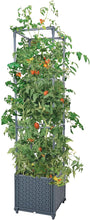 Load image into Gallery viewer, GREEN MOUNT 41.3" Raised Garden Bed Planter Boxes with Trellis for Climbing Vegetables Plants
