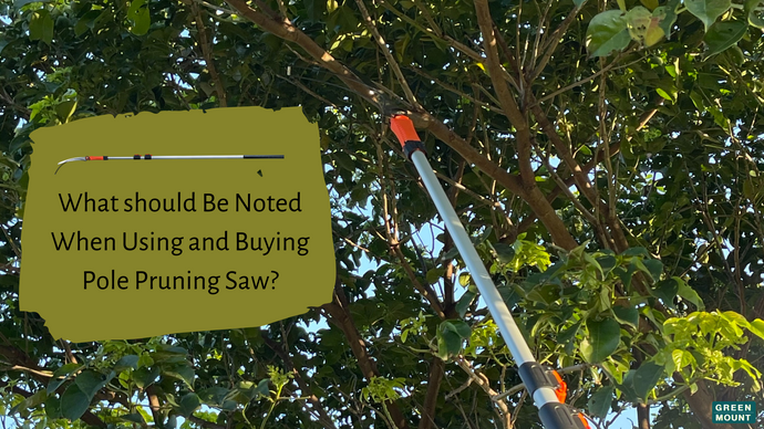 What Should Be Noted When Using and Buying GREEN MOUNT Pole Pruning Saws